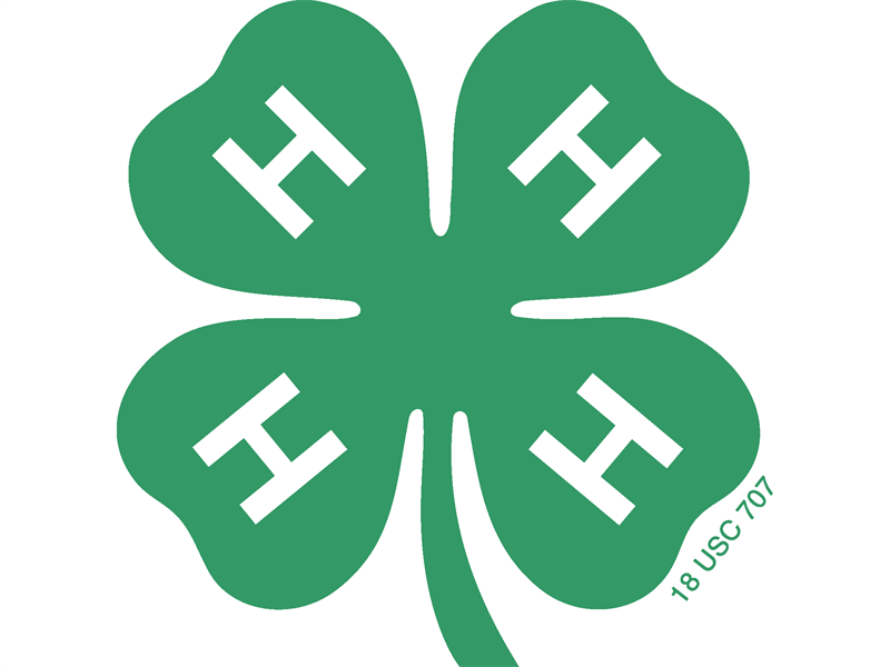 Logo for 2026 District 6 Horse Shows